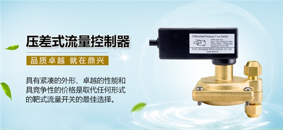 压差式流量控制器